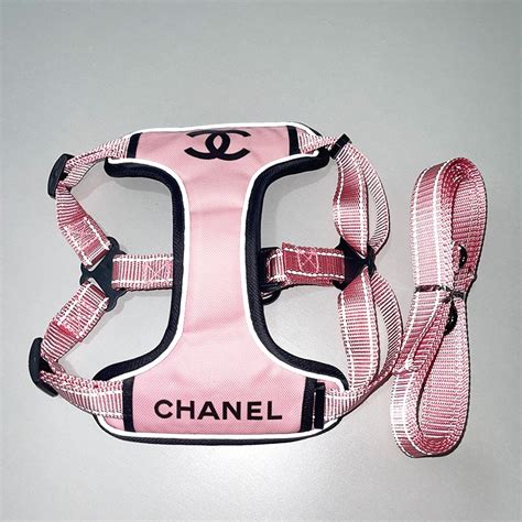 chanel dog collar and leash|chanel small dog carrier.